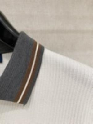 wholesale quality men ralph lauren polo shirts model no. 2809